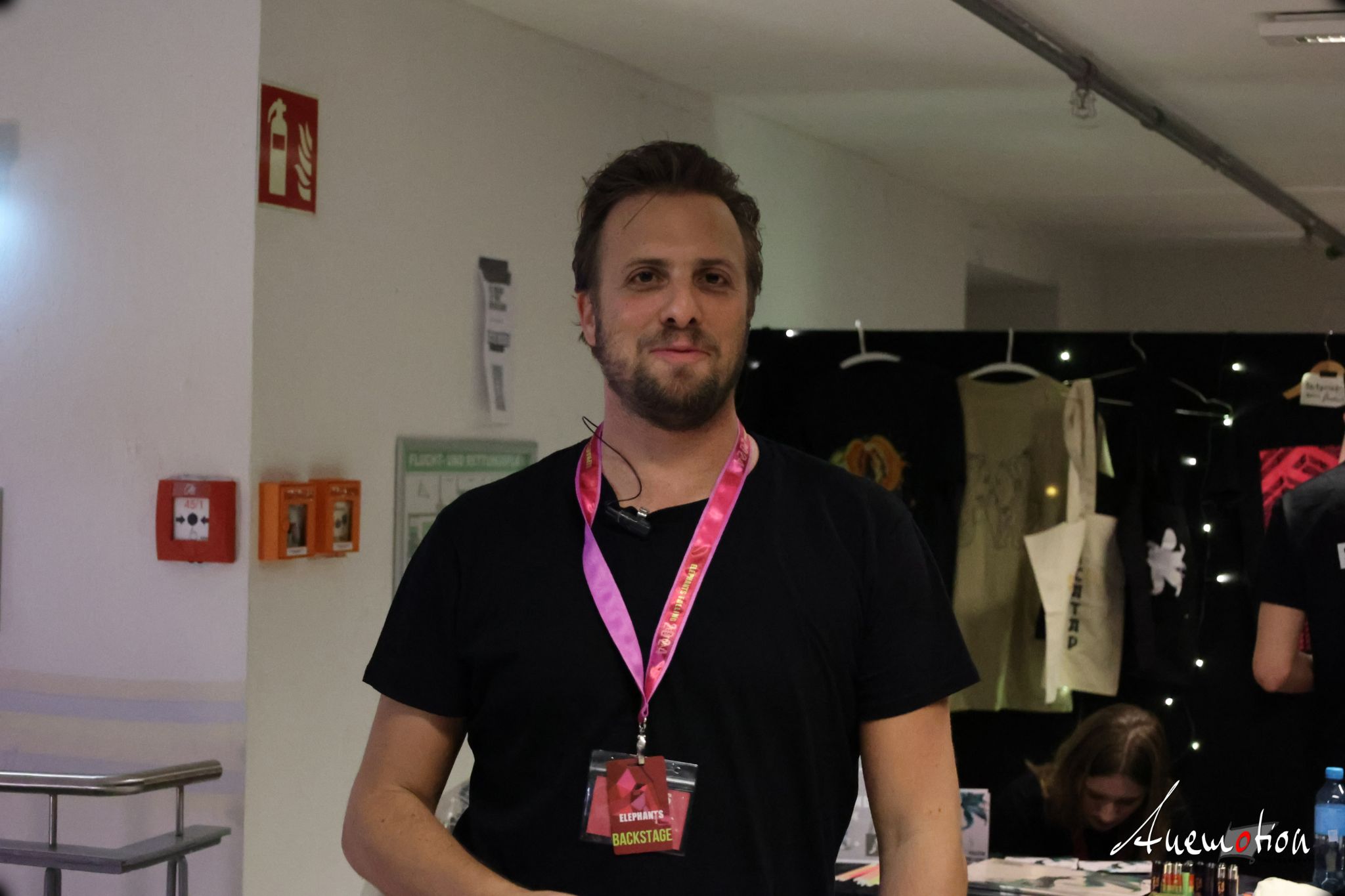 ElephantsFalling (40)